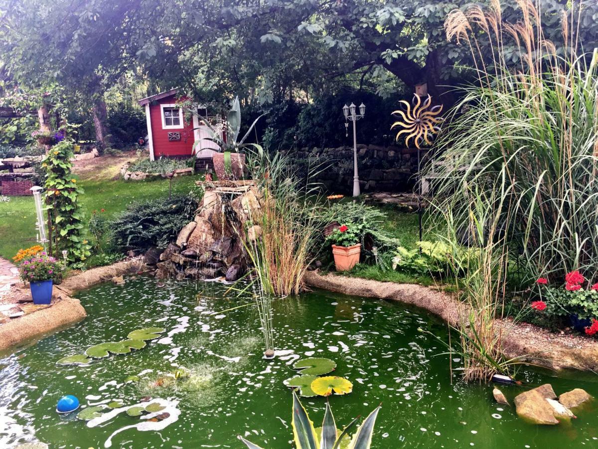 Zentrumsnahe Ferienwohnung Dresden Dış mekan fotoğraf